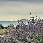 Lägenhet Cocon Avec Jardinet, Au Coeur De Martin De Re Saint-Martin-de-Ré