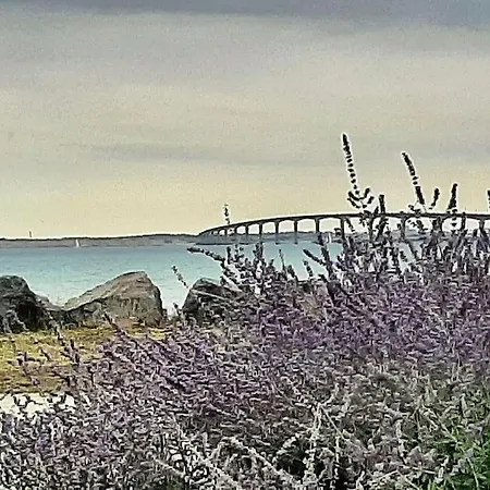 Daire Delicieux Moment De Detente Au Coeur De Martin De Re Saint-Martin-de-Ré